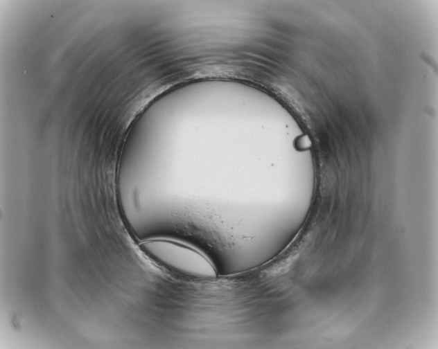 X0000095901041200802011124