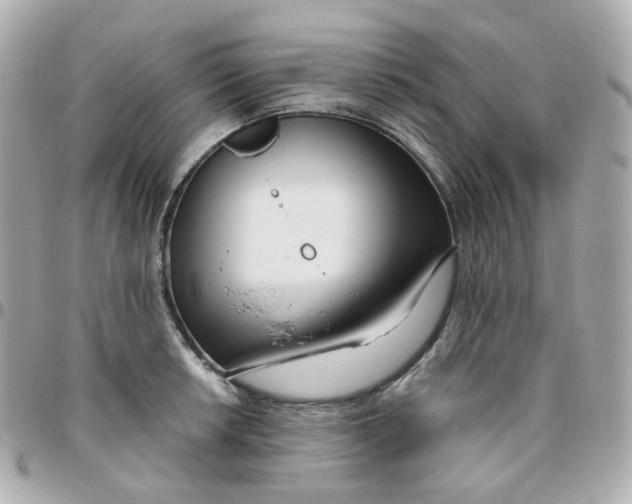 X0000095901042200802011124