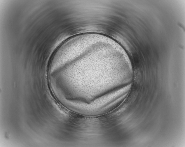 X0000095901043200802011124