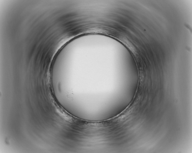 X0000095901044200802011124