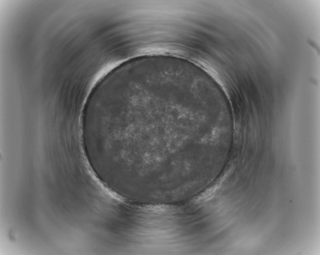 X0000095901045200802011124