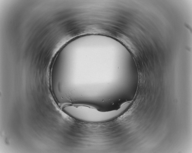 X0000095901046200802011124