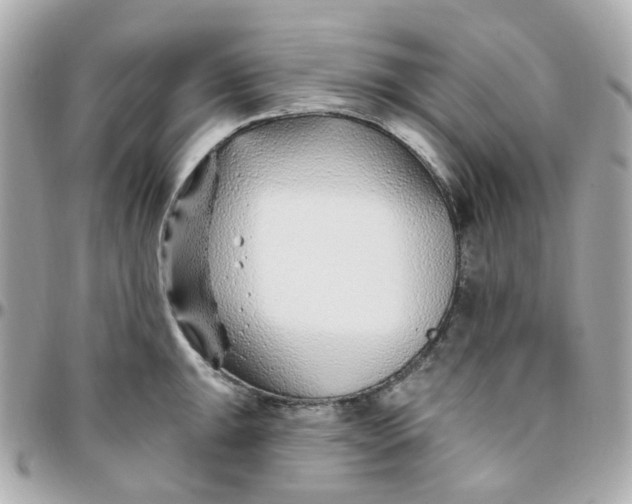 X0000095901047200802011124