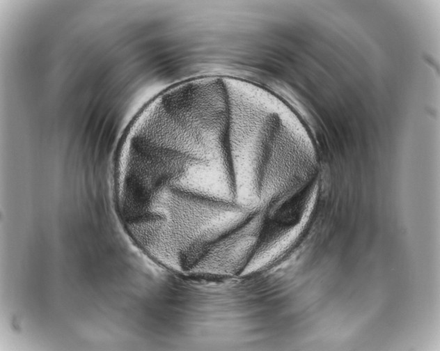 X0000095901048200802011124