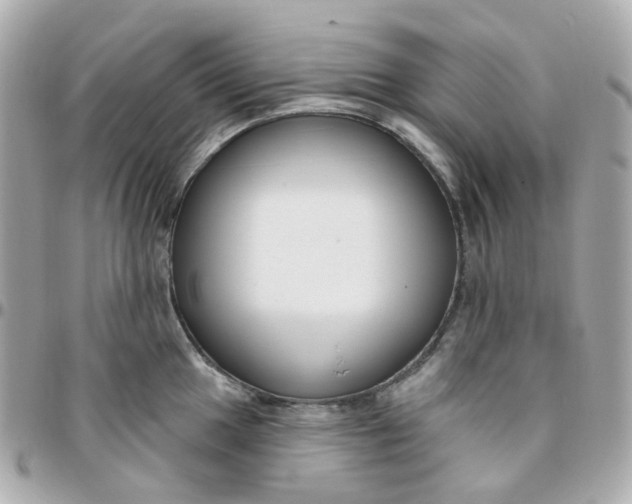 X0000095901049200802011124