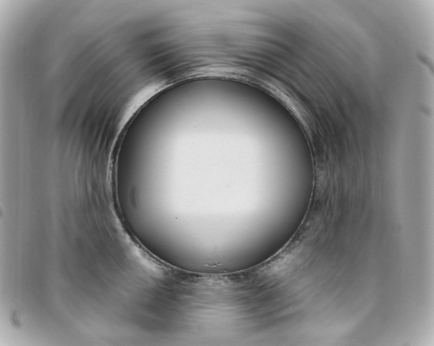 X0000095901050200802011124