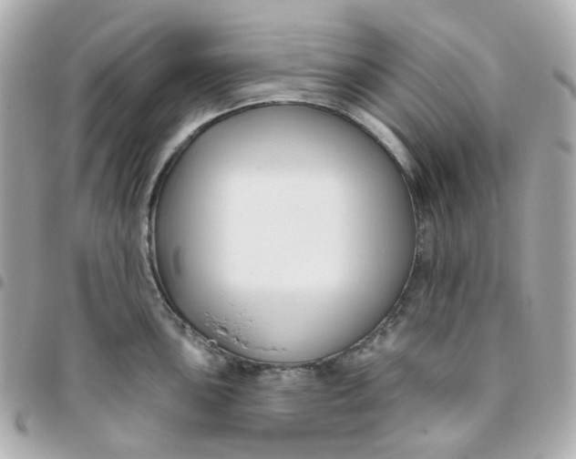 X0000095901051200802011124