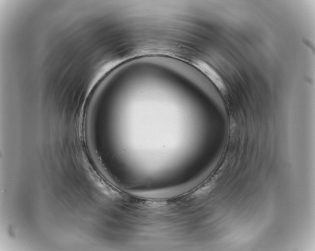 X0000095901052200802011124