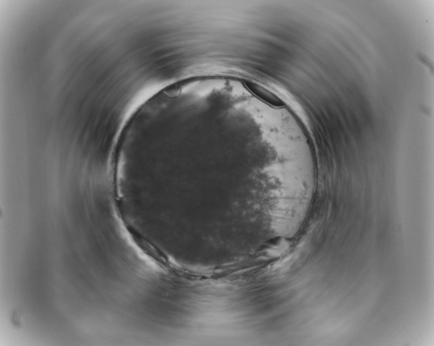 X0000095901053200802011124