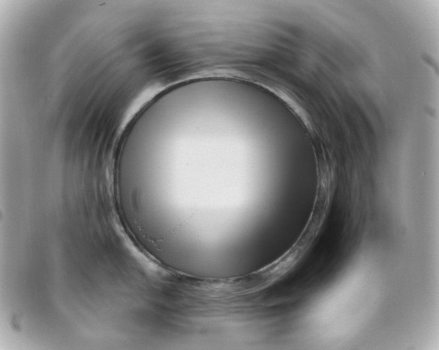 X0000095901054200802011124