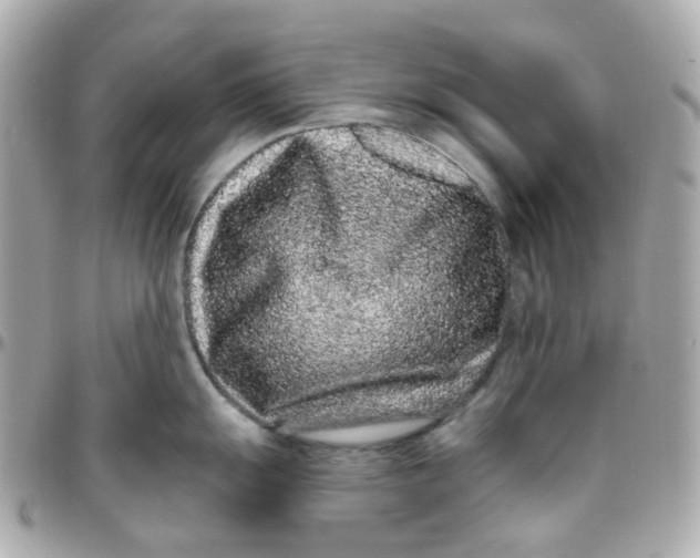 X0000095901055200802011124