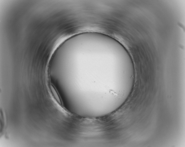 X0000095901056200802011124