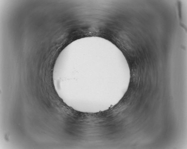 X0000095901057200802011123