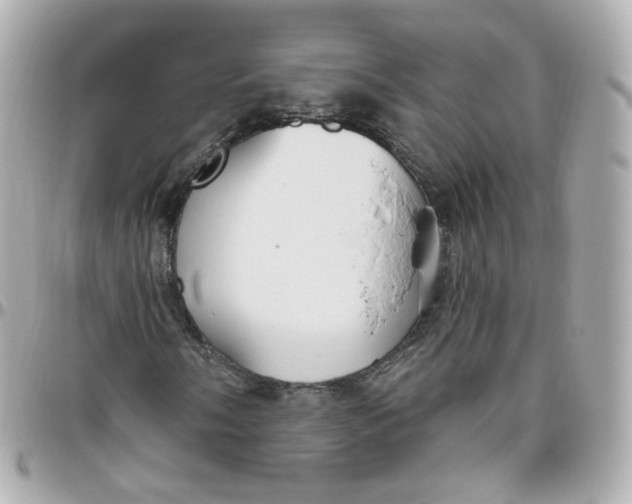 X0000095901058200802011123