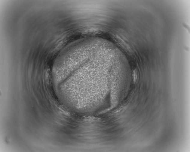 X0000095901059200802011123