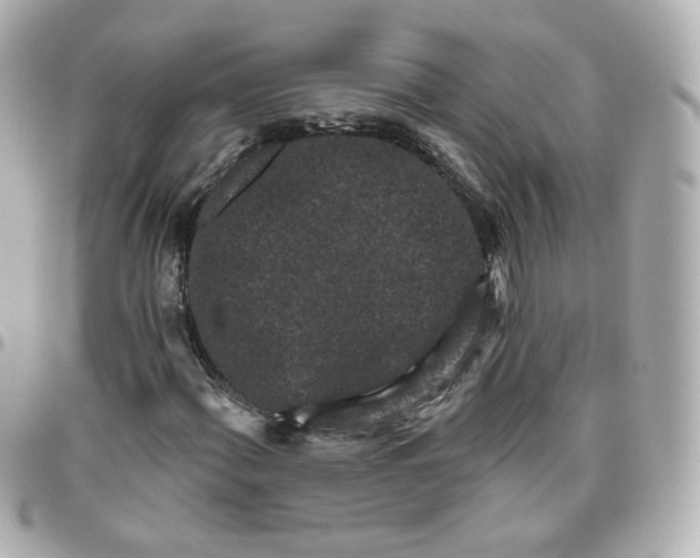 X0000095901060200802011123