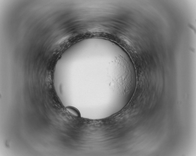 X0000095901062200802011123