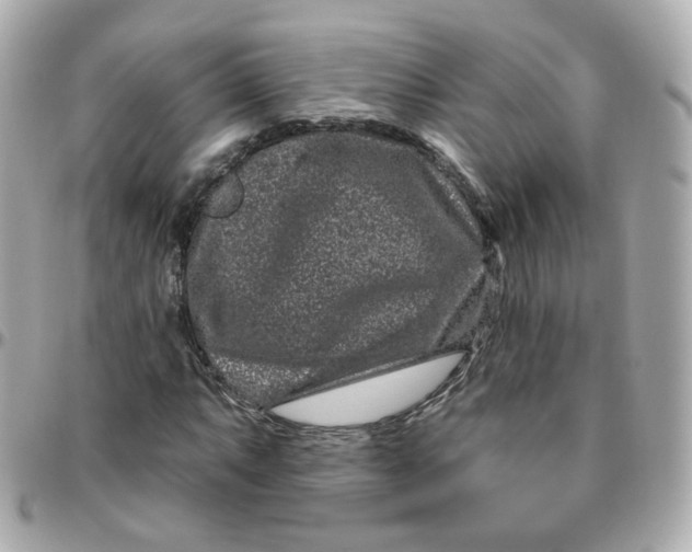 X0000095901063200802011123