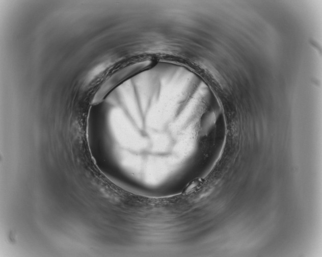 X0000095901064200802011123