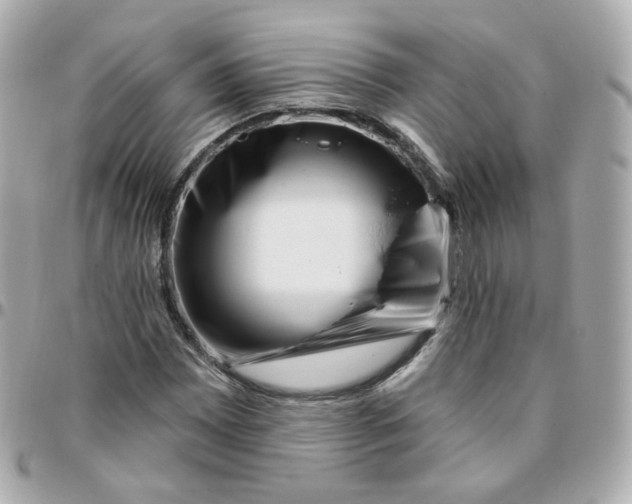 X0000095901065200802011123