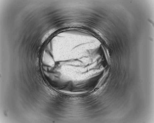 X0000095901066200802011123