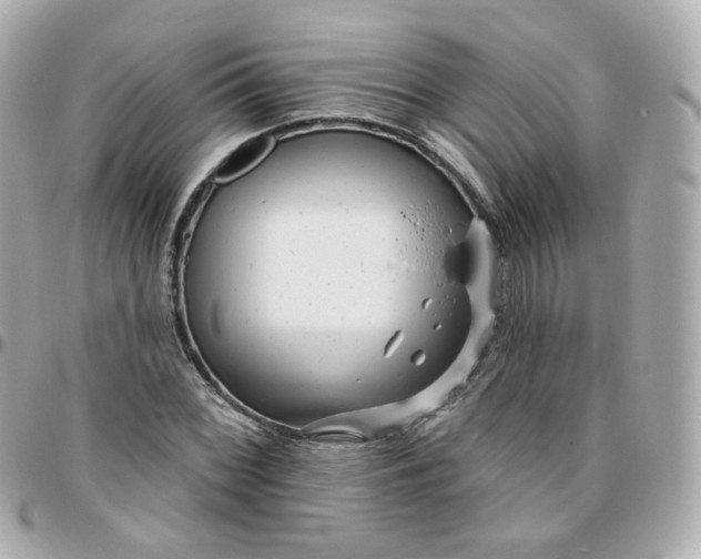 X0000095901068200802011123