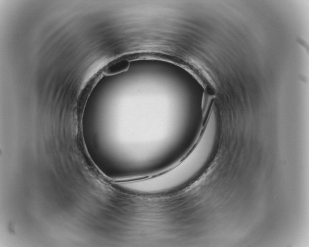 X0000095901069200802011123