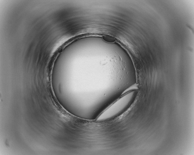 X0000095901070200802011123