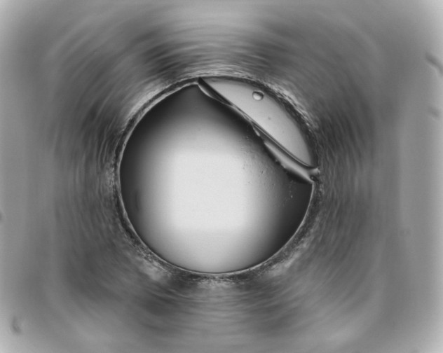 X0000095901073200802011123