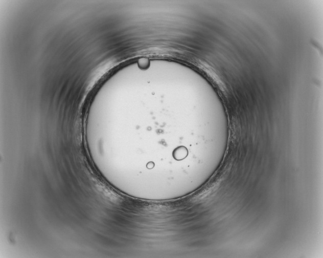 X0000095901075200802011123