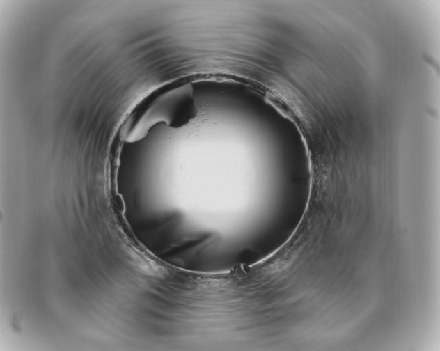 X0000095901076200802011123