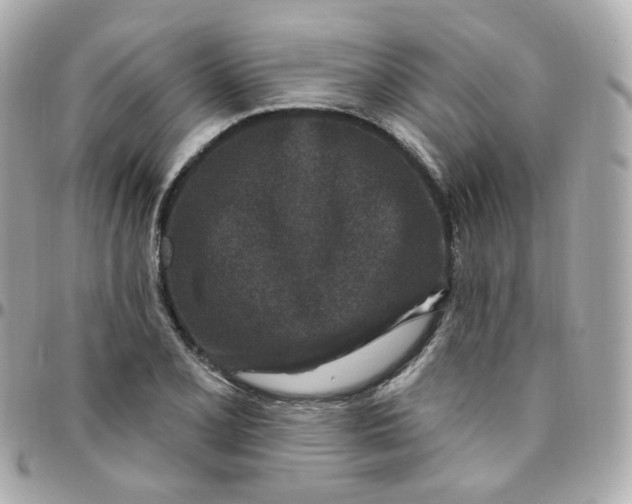 X0000095901077200802011123