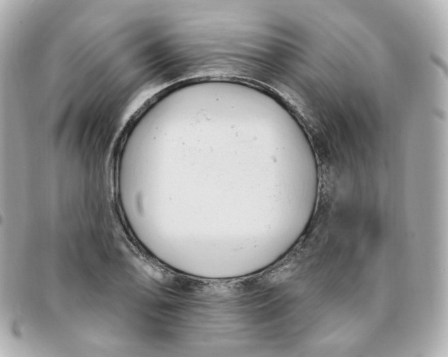 X0000095901078200802011123