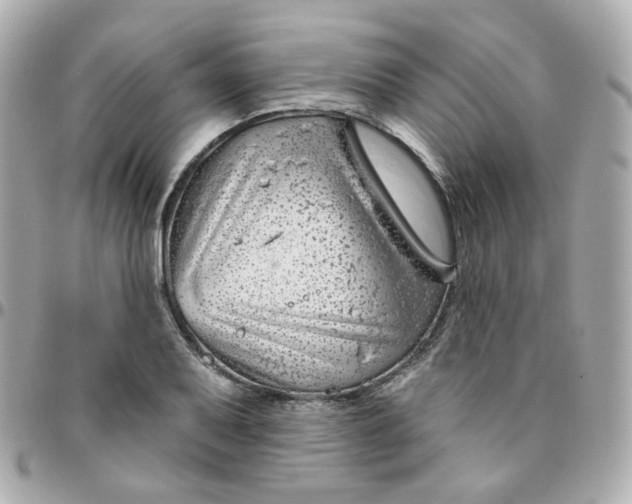 X0000095901079200802011123