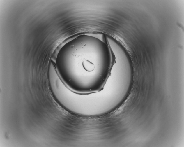 X0000095901081200802011123