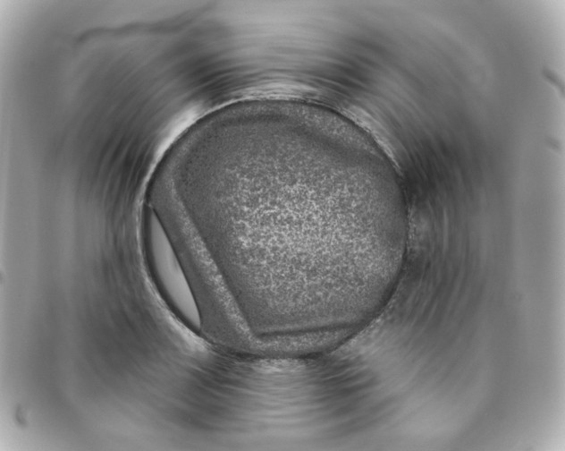 X0000095901083200802011123