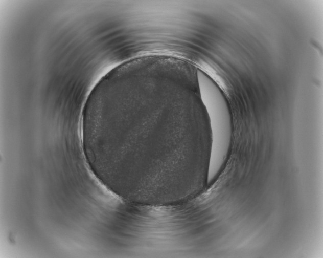 X0000095901084200802011123