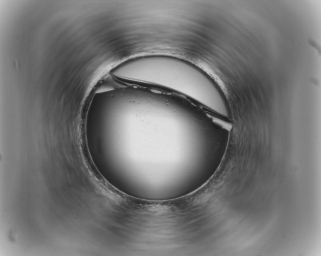 X0000095901085200802011123