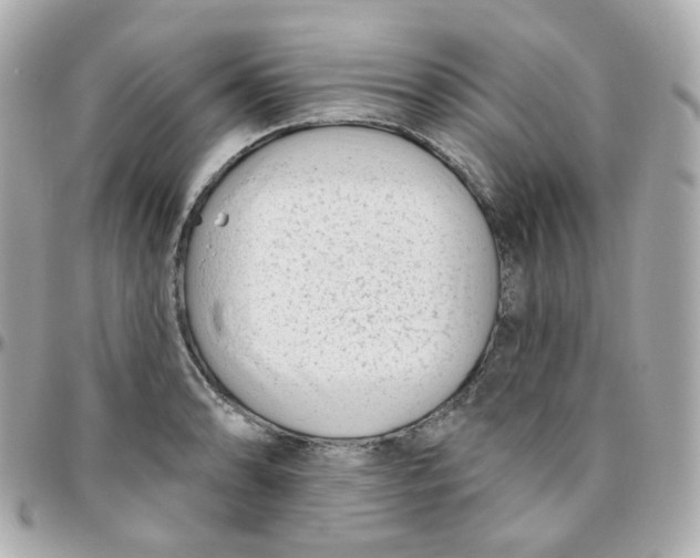 X0000095901086200802011123