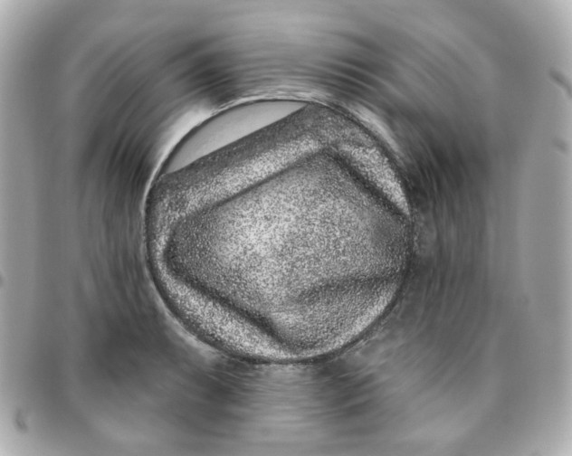 X0000095901087200802011123