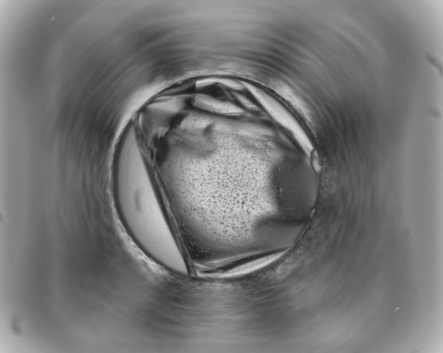 X0000095901088200802011123