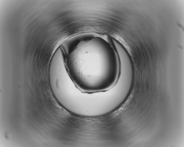 X0000095901089200802011123