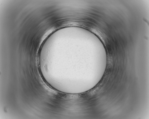 X0000095901090200802011123