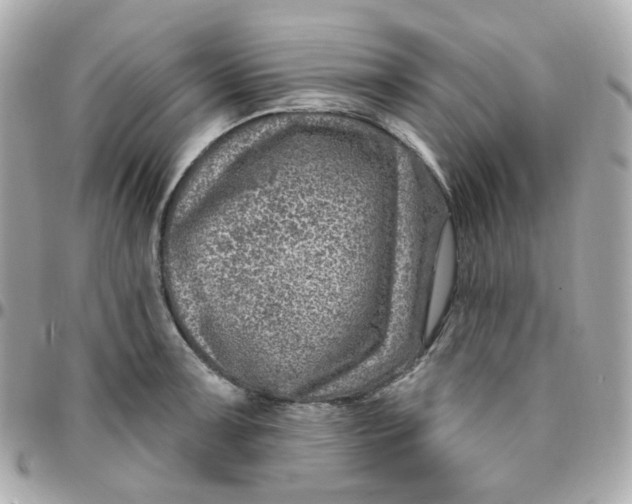 X0000095901091200802011123