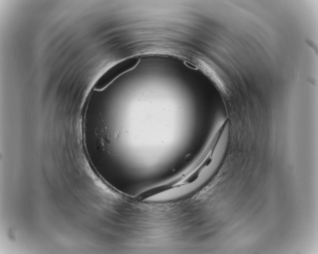 X0000095901092200802011123