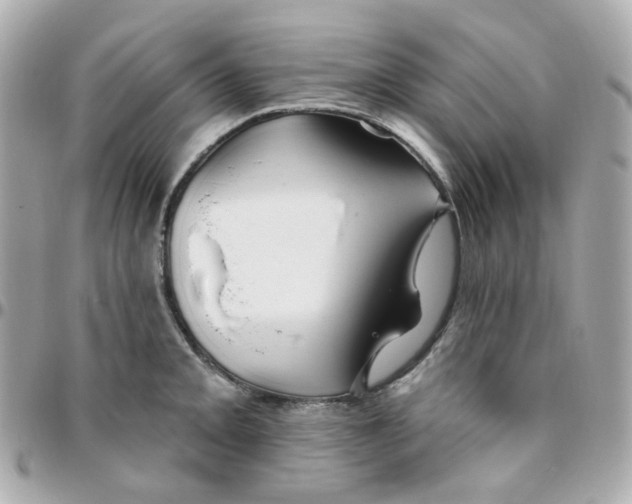 X0000095901093200802011123