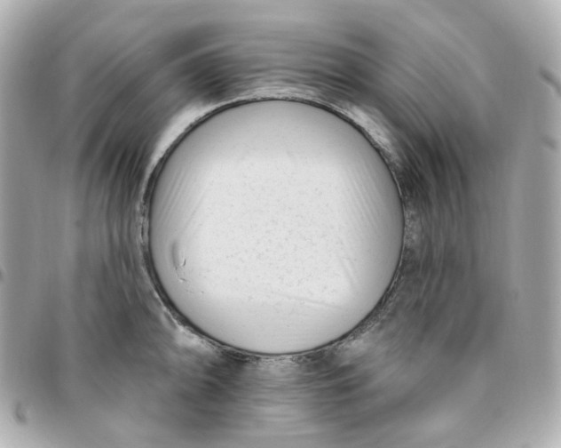 X0000095901094200802011123