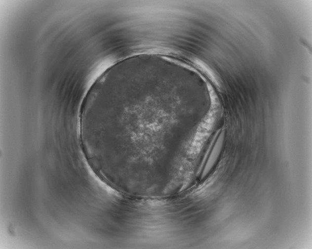 X0000095901095200802011123