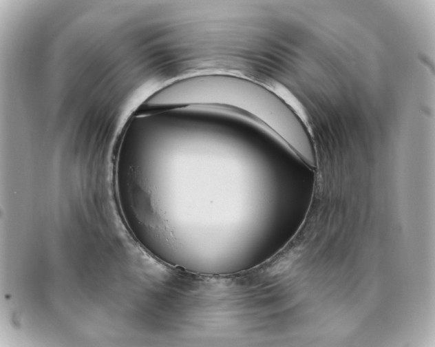 X0000095901096200802011123