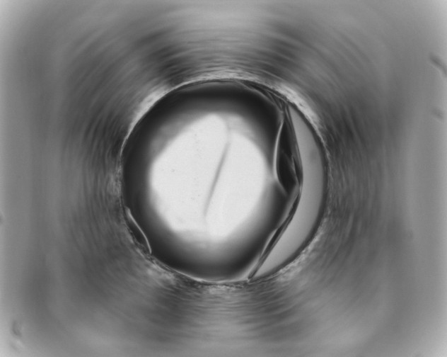 X0000095901097200802011123